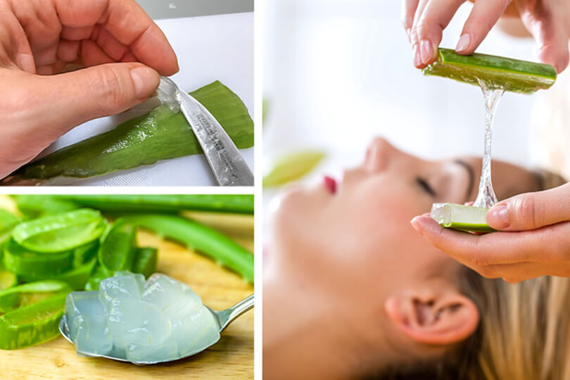 aloe vera nasıl kullanilir