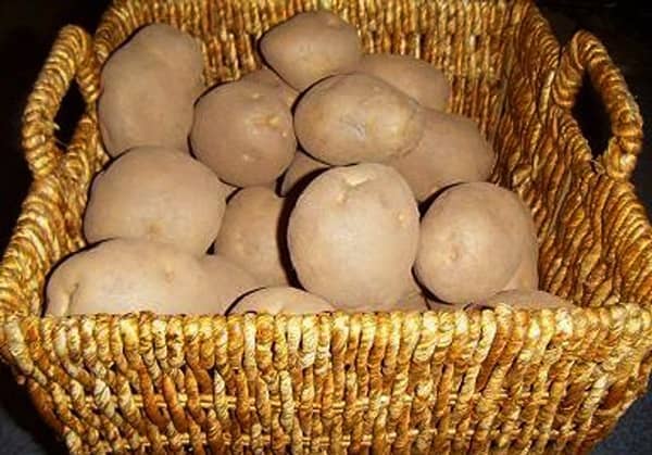 meyve ve sebzeleri taze tutmak