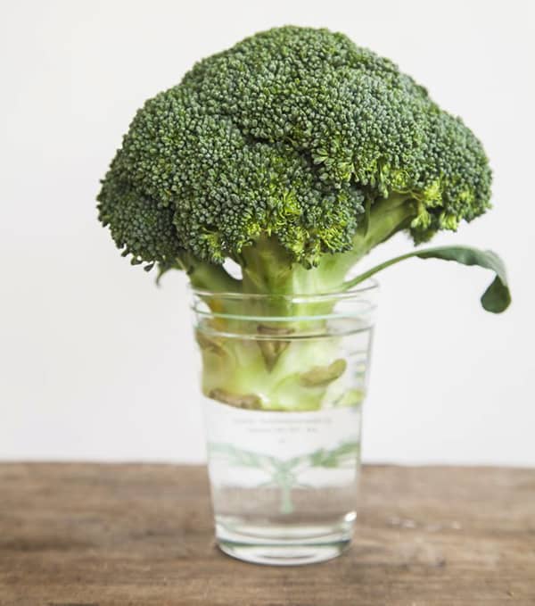 bezi geçmeyecek şekilde