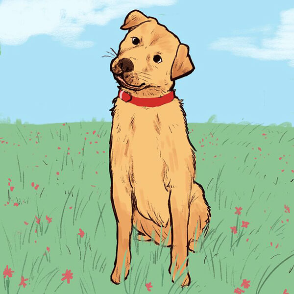 kopeklerin davranislari