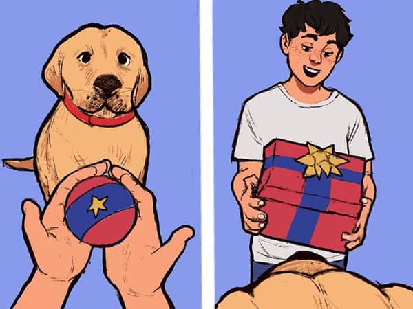 kopeklerin davranislari