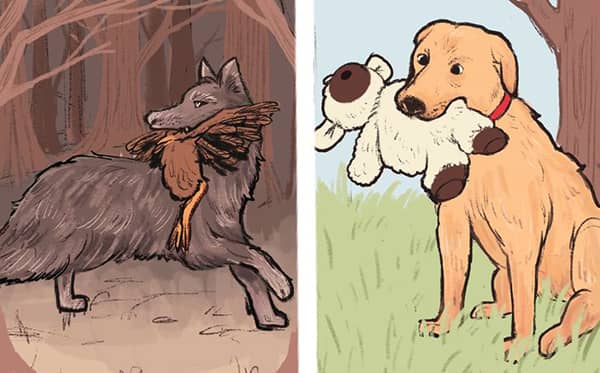 kopeklerin davranislari