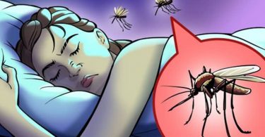 sivrisinekler neden vizildar