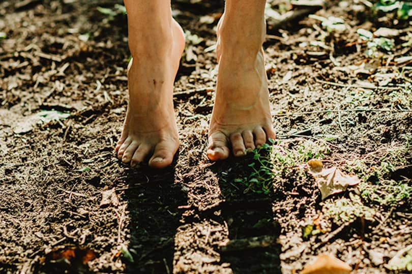 vucudumuz neden elektriklenir