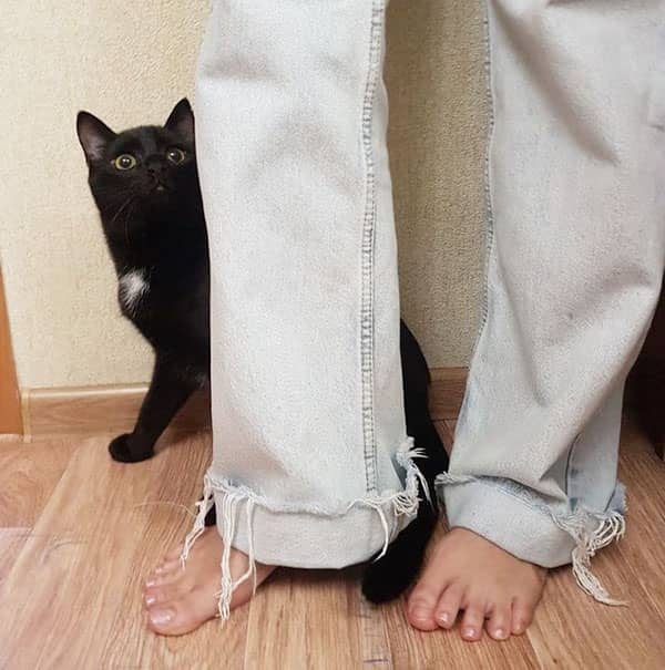 kot pantolon giyerken yapilan hatalar