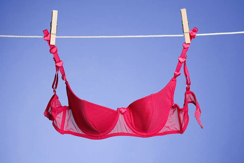 kiyafetlere uygun sutyen secimi nasil olmali